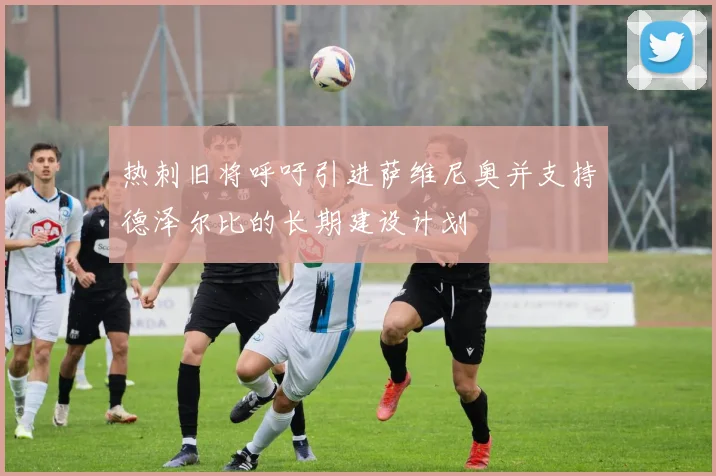 热刺旧将呼吁引进萨维尼奥并支持德泽尔比的长期建设计划